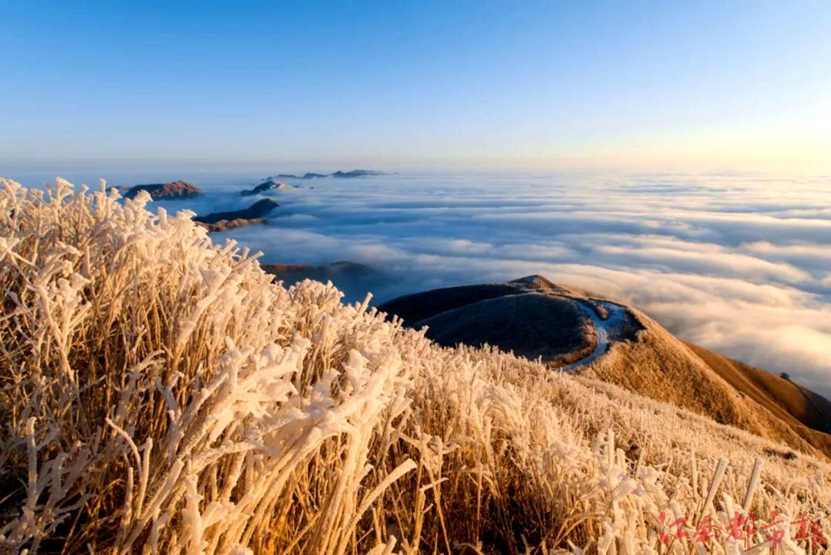 萍鄉(xiāng)武功山：霧凇云海，銀裝素裹